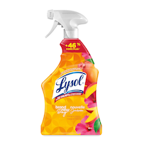 Lysol Disinfecting All Purpose Spray, 950-mL