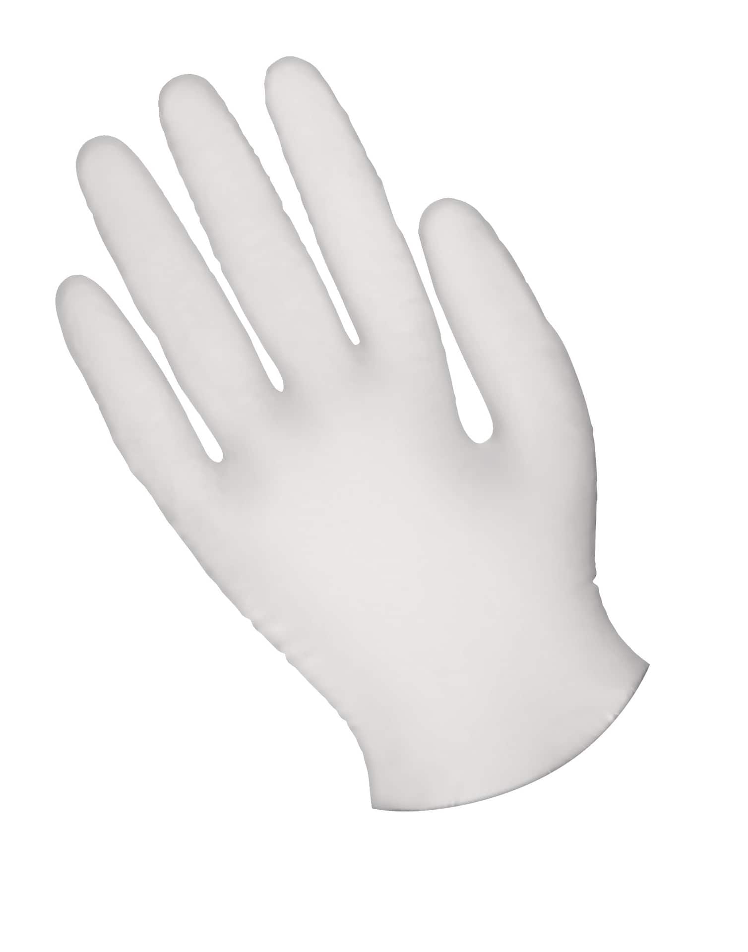 FRANK Multi-Purpose Disposable Vinyl Gloves, Latex Free, 100-pk