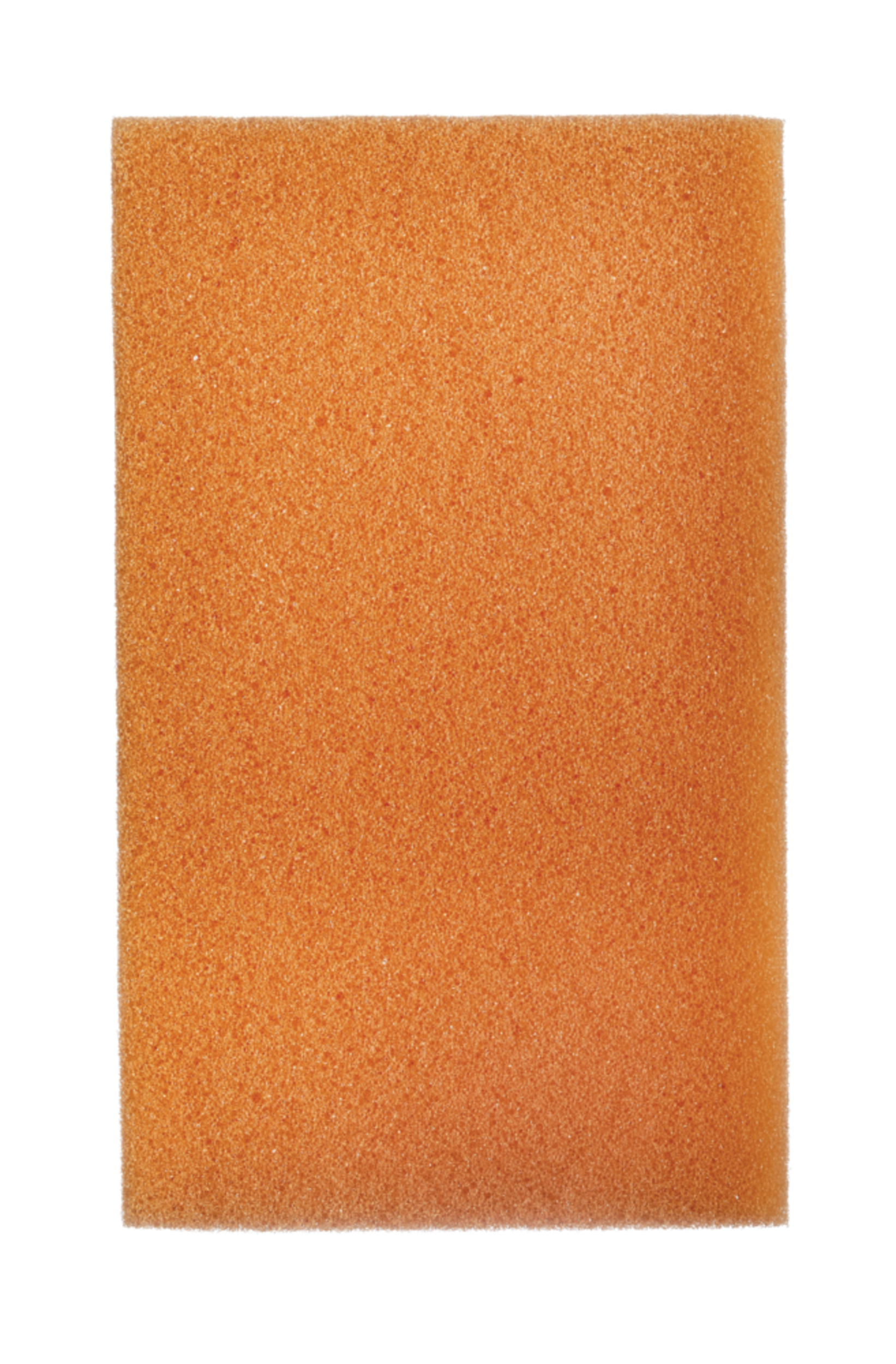 FRANK All-Purpose Scrub Sponge, 8-pk Front_Flat