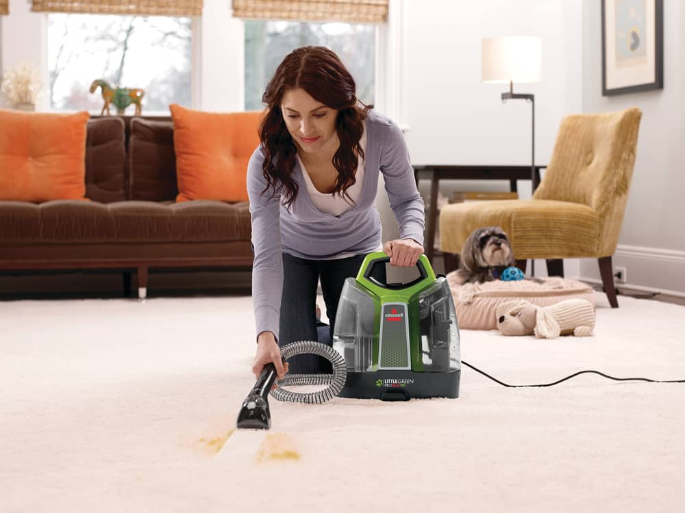 handheld steam cleaner for couch