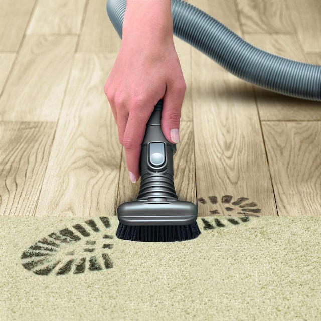 Dyson DC66 Multi Floor Vacuum Canadian Tire