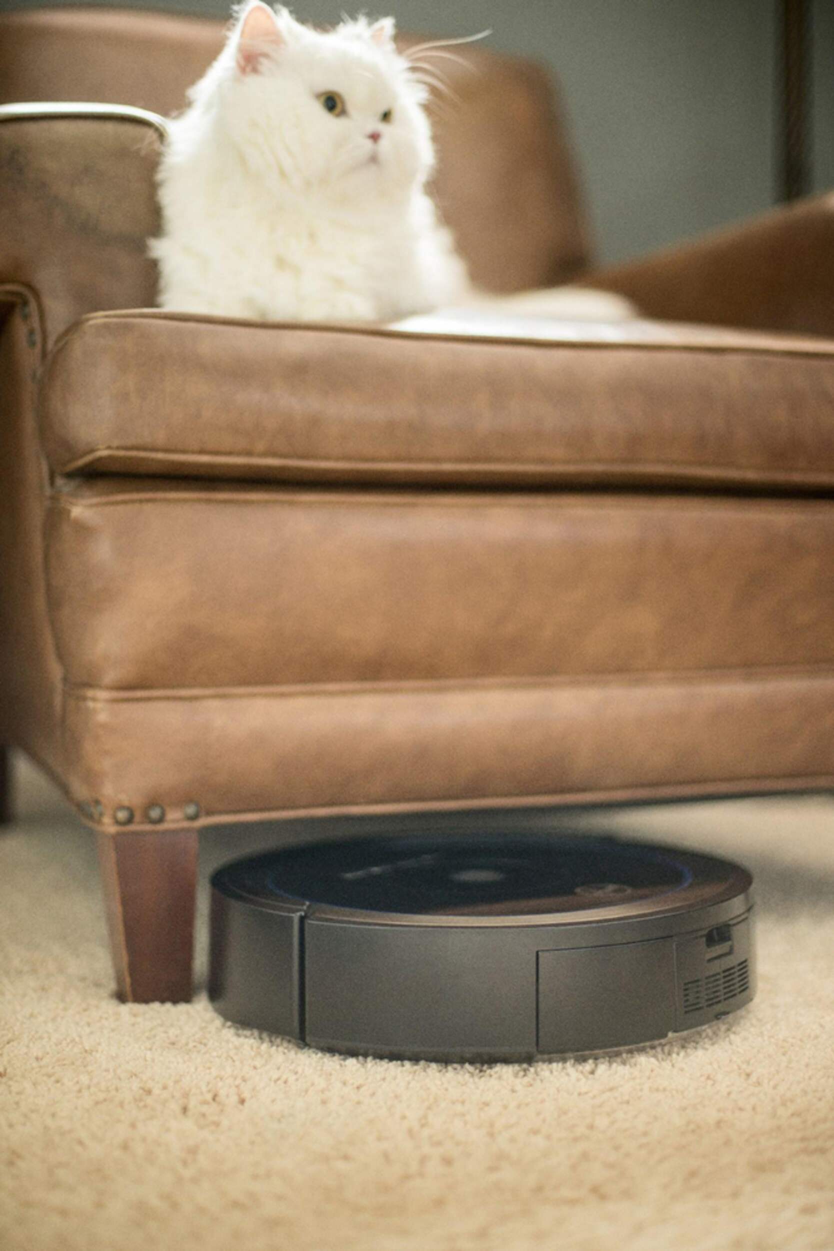 Hoover® Quest™1000 Robot Vacuum Canadian Tire