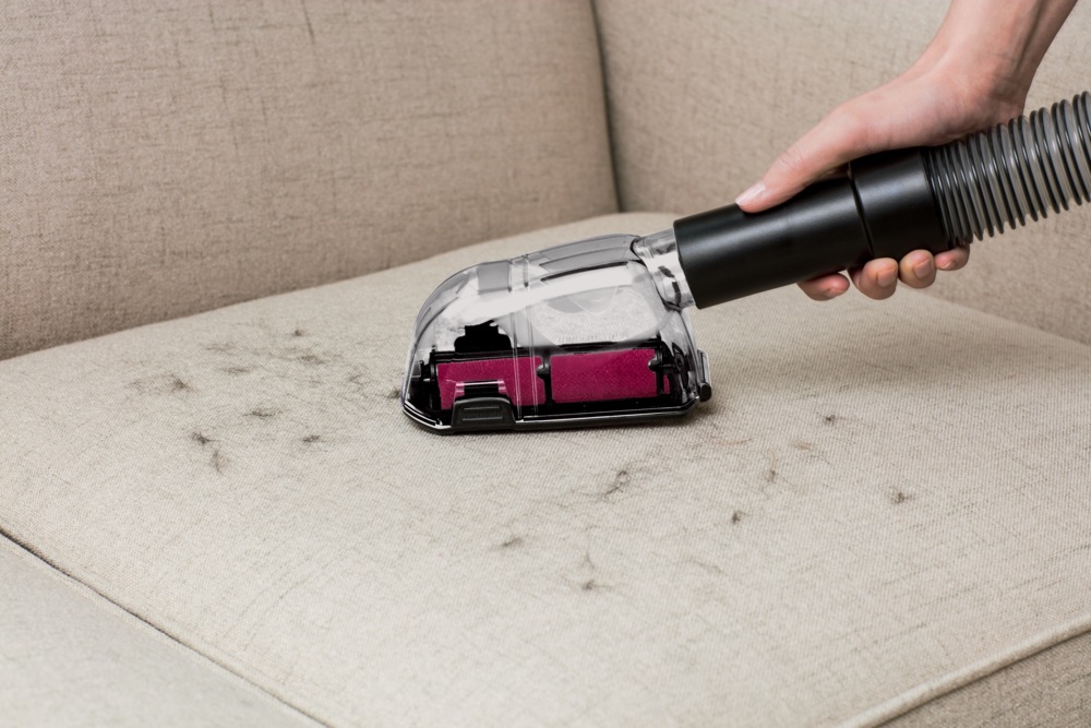 BISSELL PowerLifter Swivel Rewind Bagless Upright Vacuum Cleaner