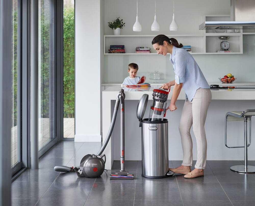 dyson vacuum big ball origin