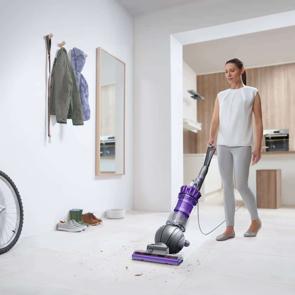 dyson ball animal 2 pro