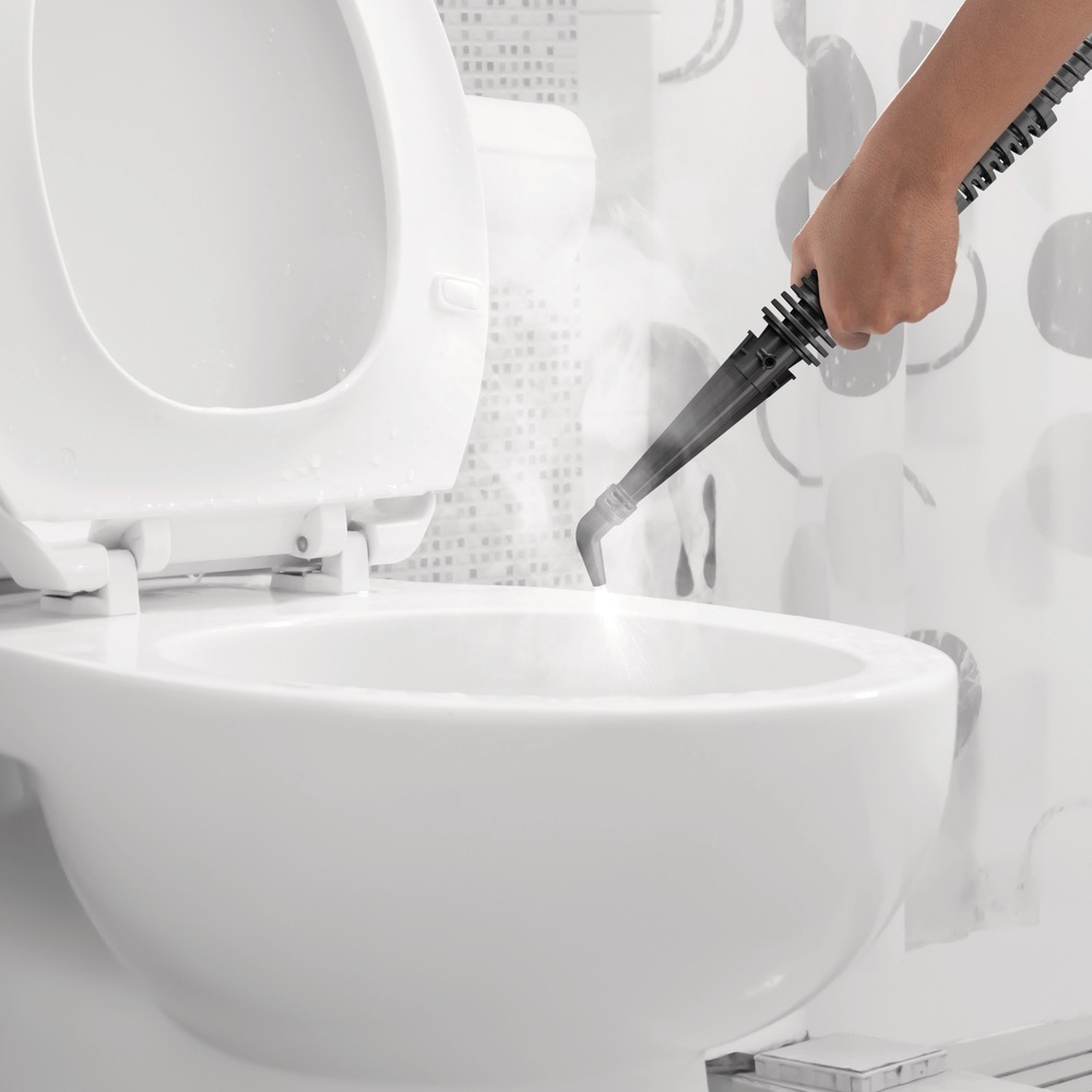 hoover expert series pet steam lift cleaner
