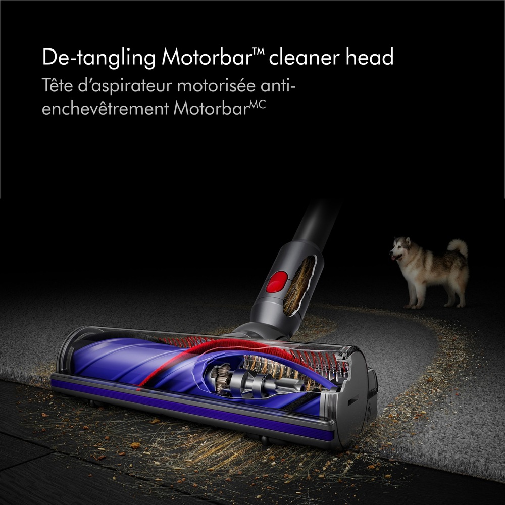 Is Dyson V10 Animal Good For Hardwood Floors Dyson V10 Animal+ Lightweight Cordless Stick Vacuum | Canadian Tire