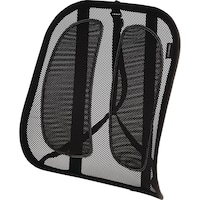 Fellowes Office Suites Mesh Back Support Plus Backrest Front_Three_Fourths_Angled_Left