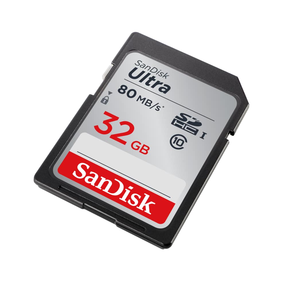 counter Ananiver Need SanDisk 32GB Class 10 SD Card | Canadian Tire