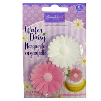 Marguerite comestible double, rose Front_Flat
