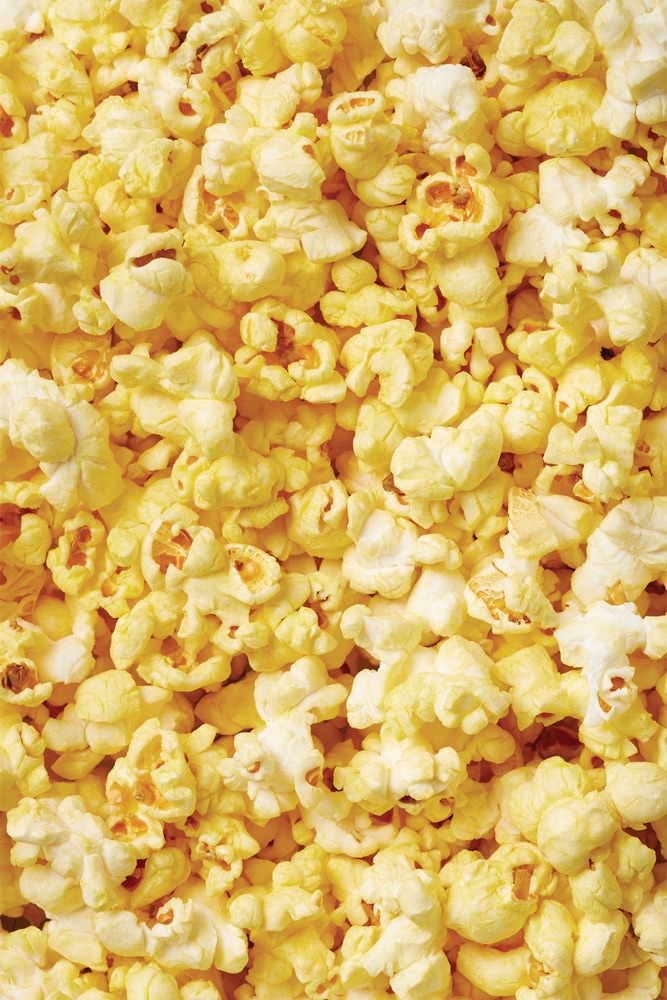 FRANK Feels Festive Popcorn Tin with Caramel Corn, Movie Popcorn and Sweet & Salty Popcorn, 270