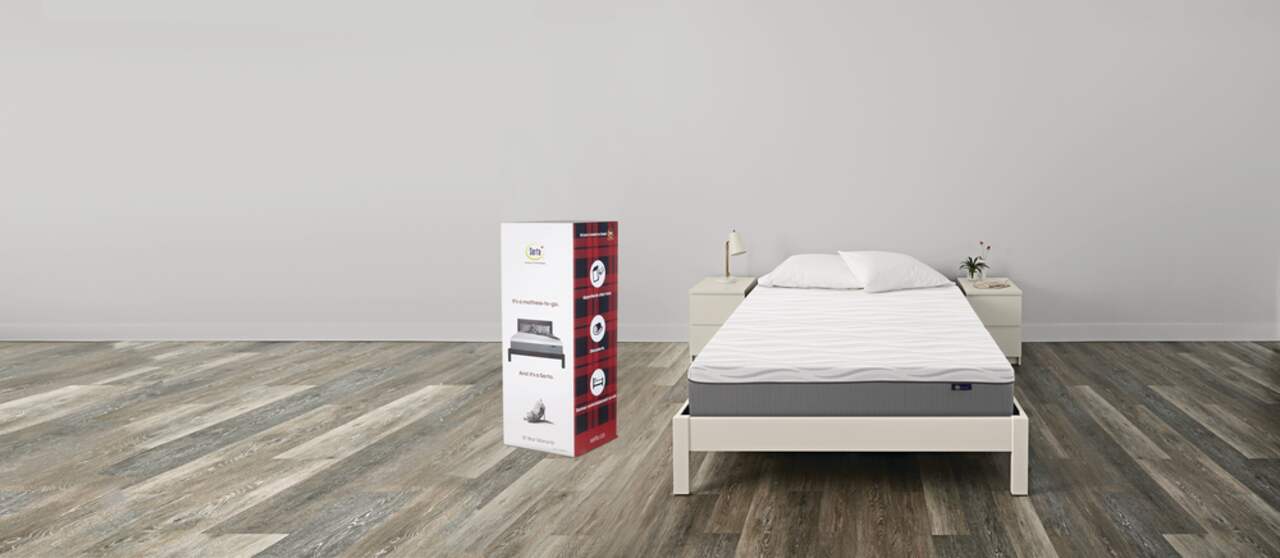 Canadian tire mattress in a shop box
