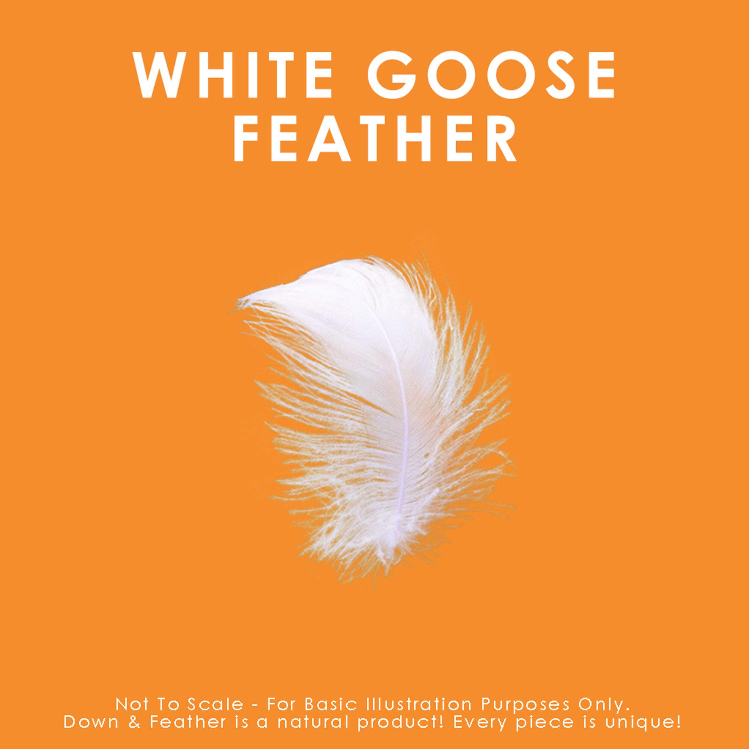 White Goose Feather Duvet All Season Weight Canadian Tire