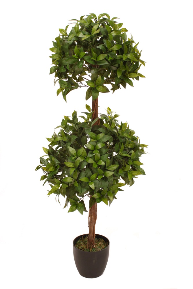Double Ball Bay Tree, 4ft Canadian Tire