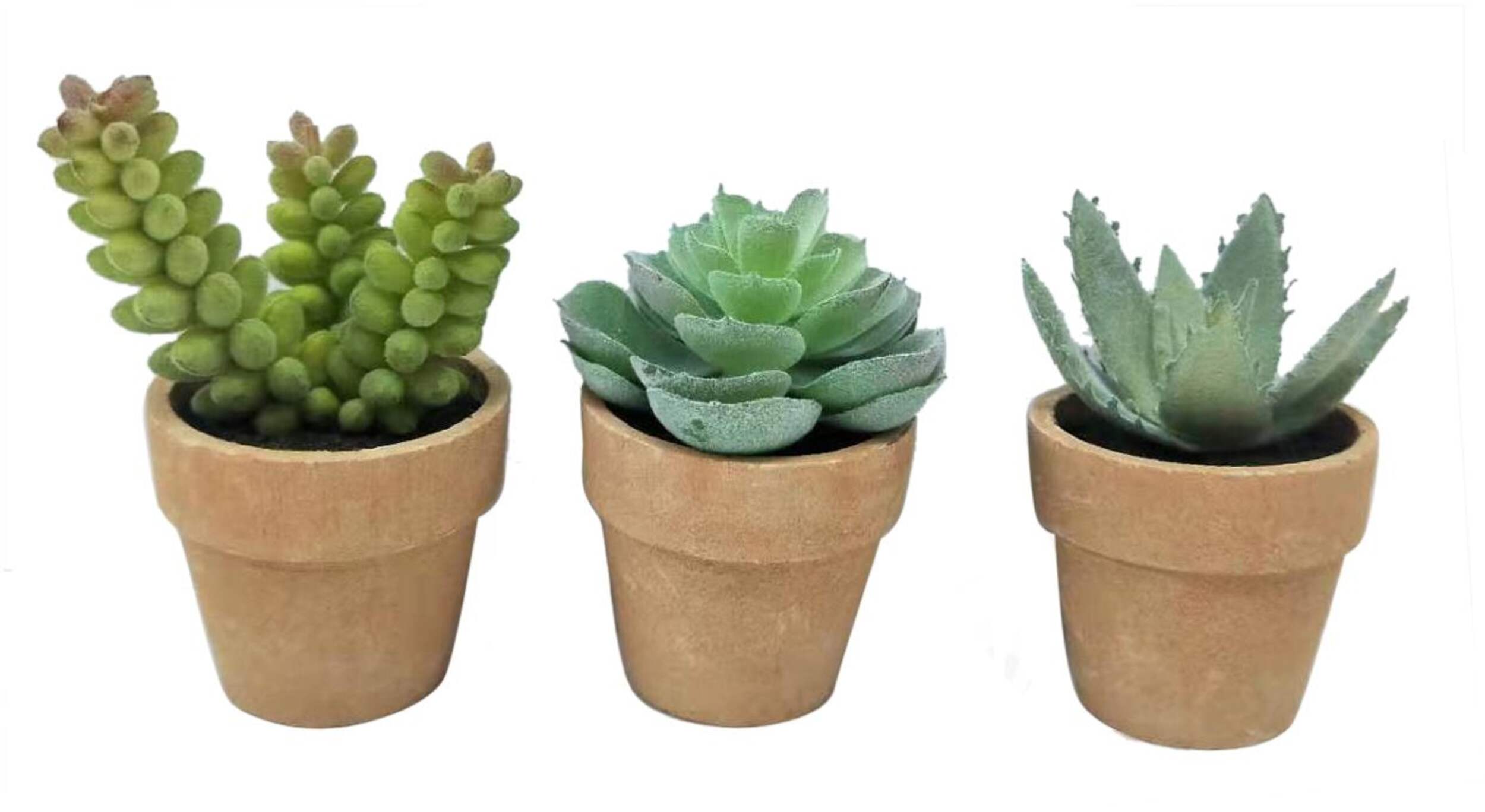 CANVAS Artificial Succulent in Terra Cotta Pot, Assorted Variants, 3-3/4-in Front_Elevated