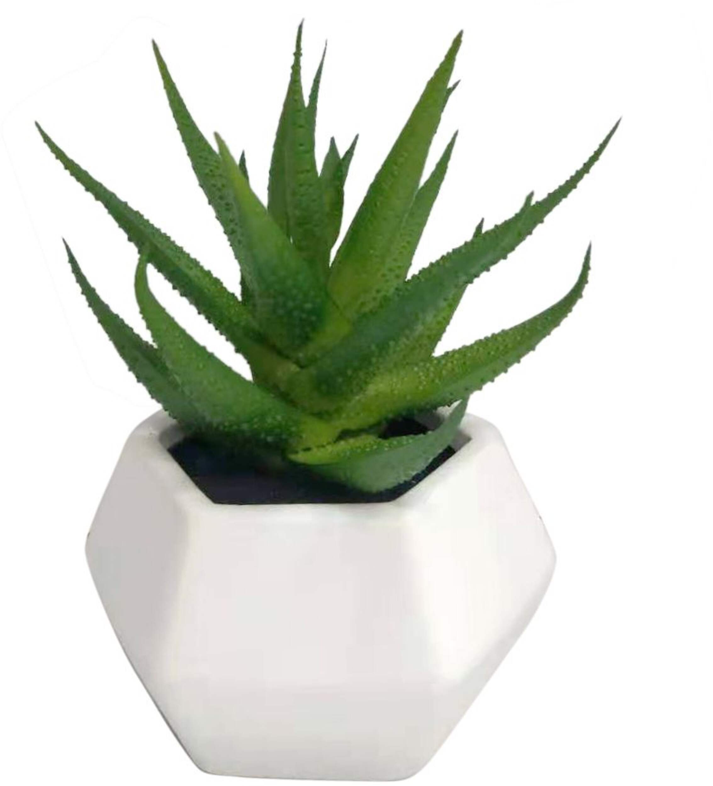Plant d’asperges artificiel CANVAS avec pot en céramique, 6 po Front_Elevated