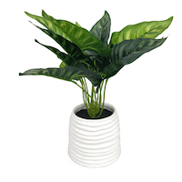 CANVAS Artificial Indoor Plant in Ceramic Pot, 11-in Front_Elevated