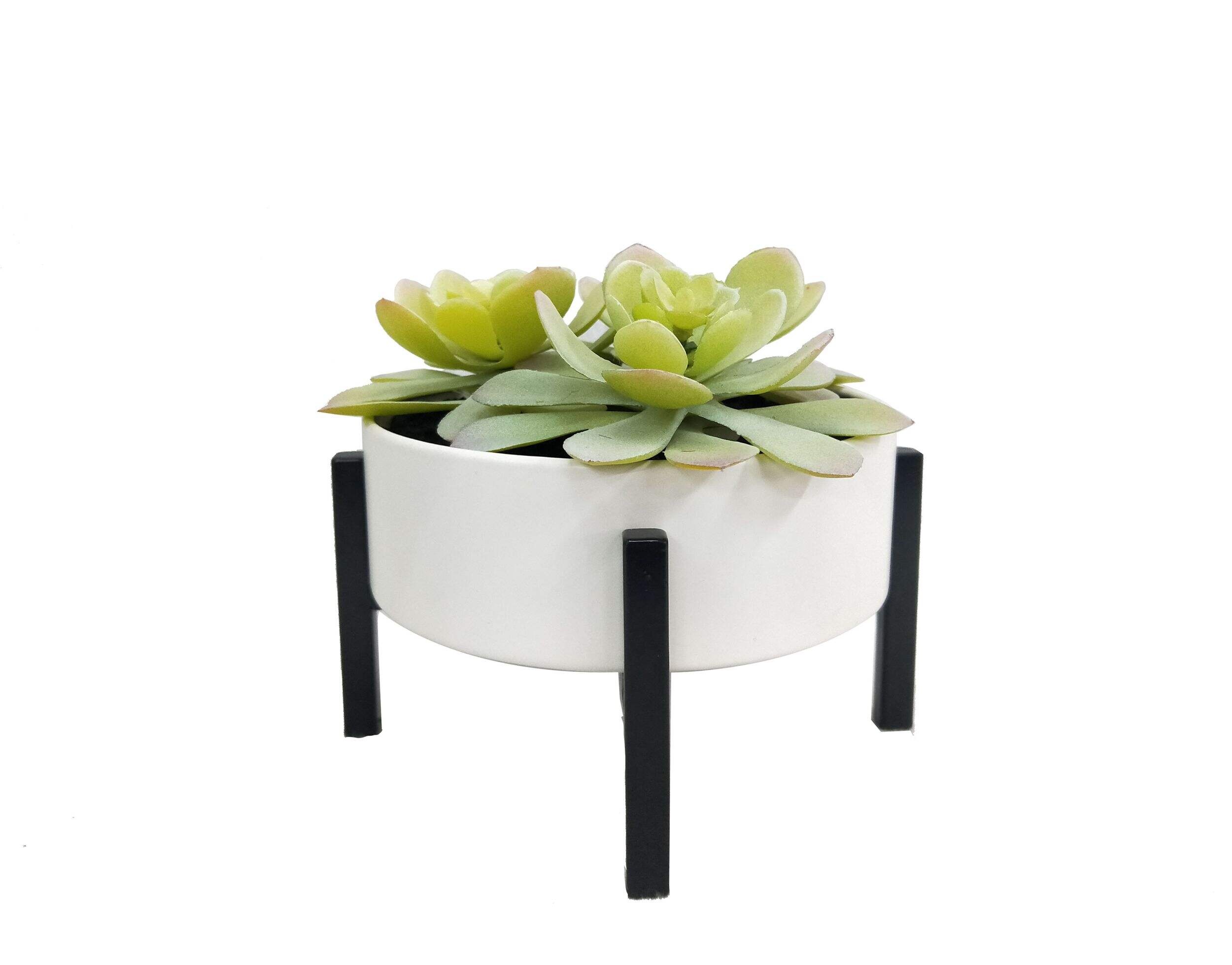 CANVAS Artificial Succulent in Metal Pot, 5-1/4-in Front_Three_Fourths_Angled_Left