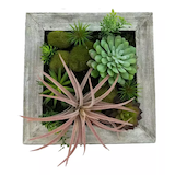 CANVAS Artificial Succulents in Wood Table Planter, 12 x 12-in Overhead_Flat
