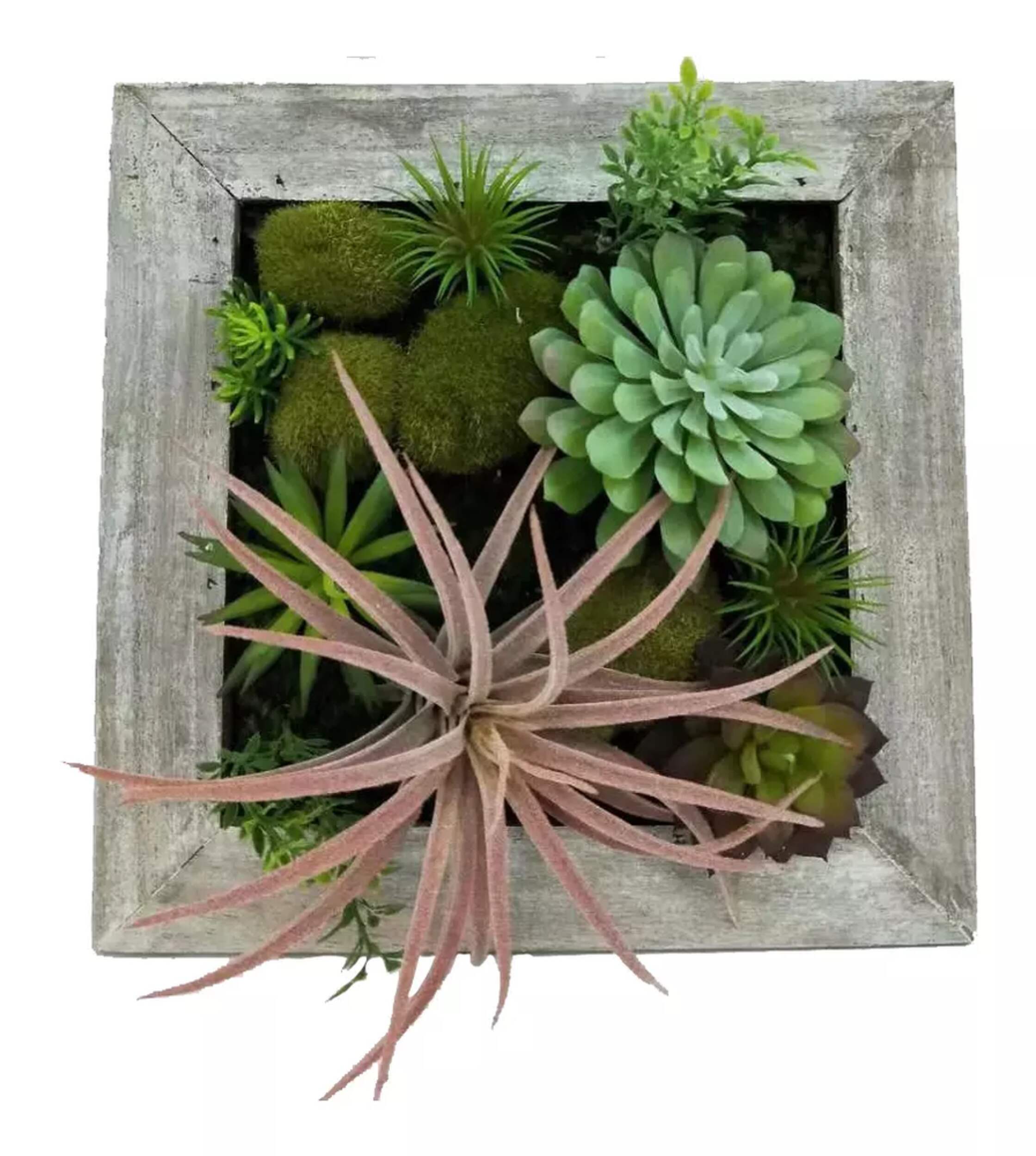 CANVAS Artificial Succulents in Wood Table Planter, 12 x 12-in Overhead_Flat