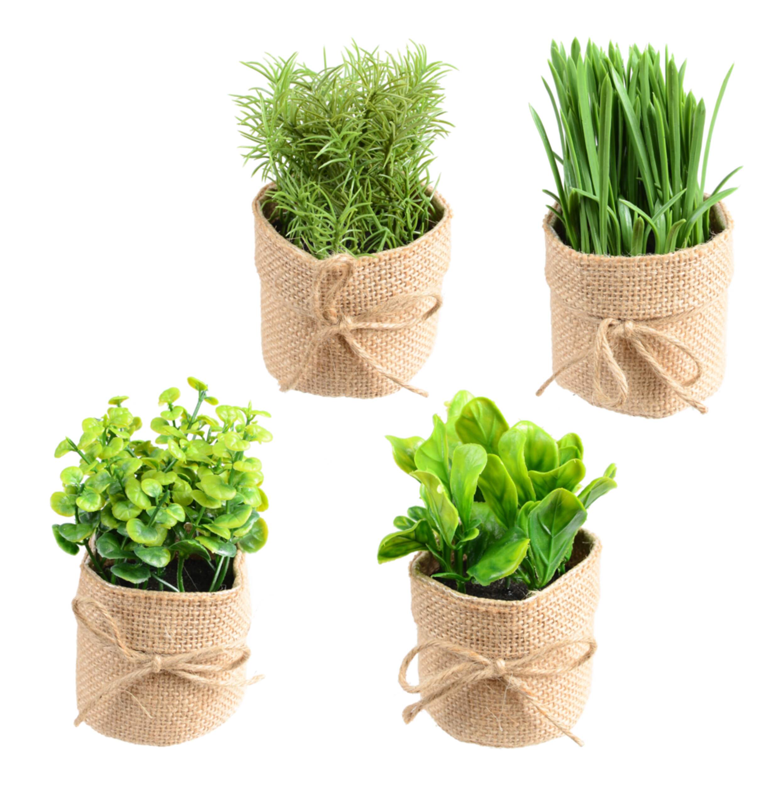Danson Artificial Indoor Foliage in Burlap Pot, Assorted Variants, 3.15-in Front_Elevated