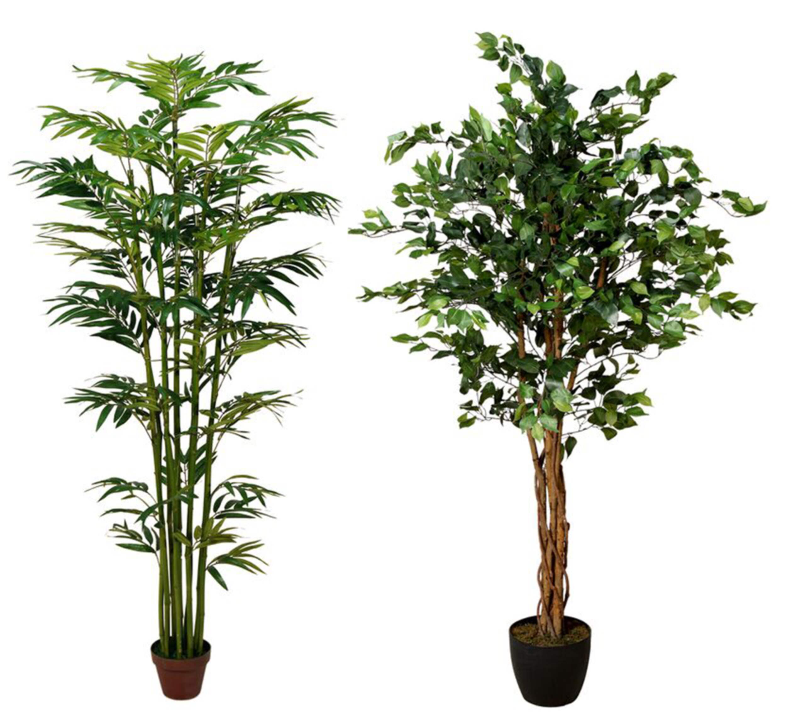 Danson Artificial Indoor Bamboo/Ficus Tree in Plastic Pot, Assorted Variants, 72-in Front_Elevated