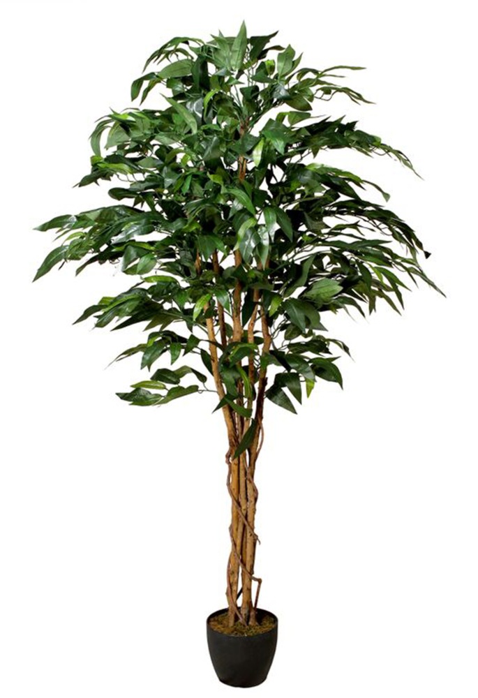 Danson Artificial Indoor Mango Tree in Plastic Pot, 84in Canadian Tire