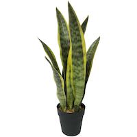 Sansevière artificielle d’intérieur CANVAS avec pot noir, 25 po Front_Elevated