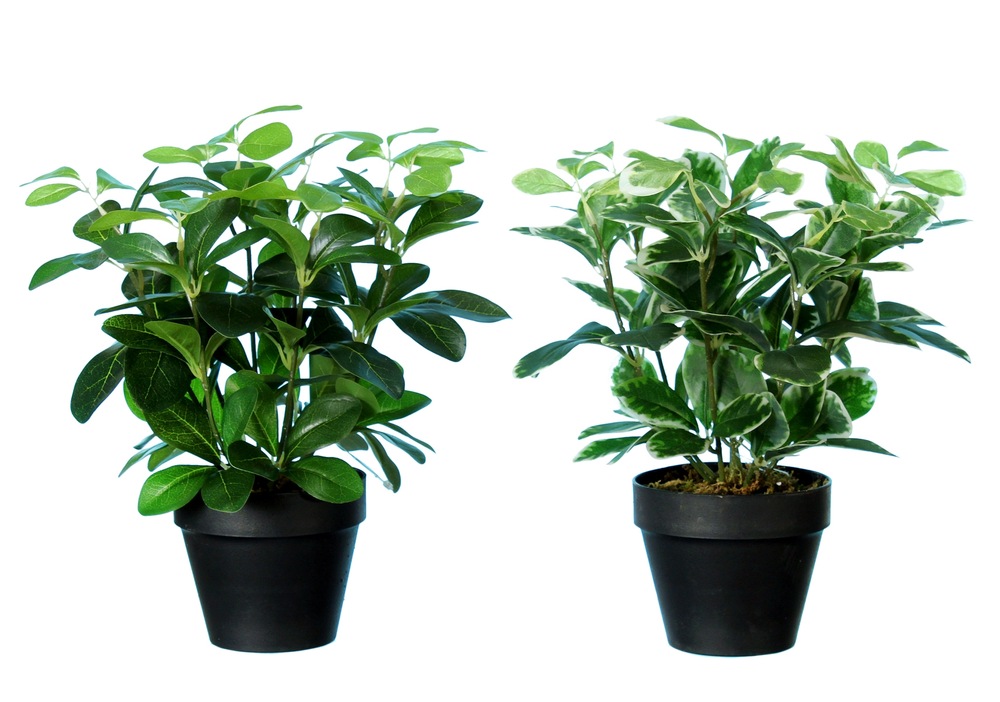 Plante artificielle en pot, 12 po Canadian Tire