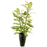 4-ft Floor Plant with Recycled Rubber Pot