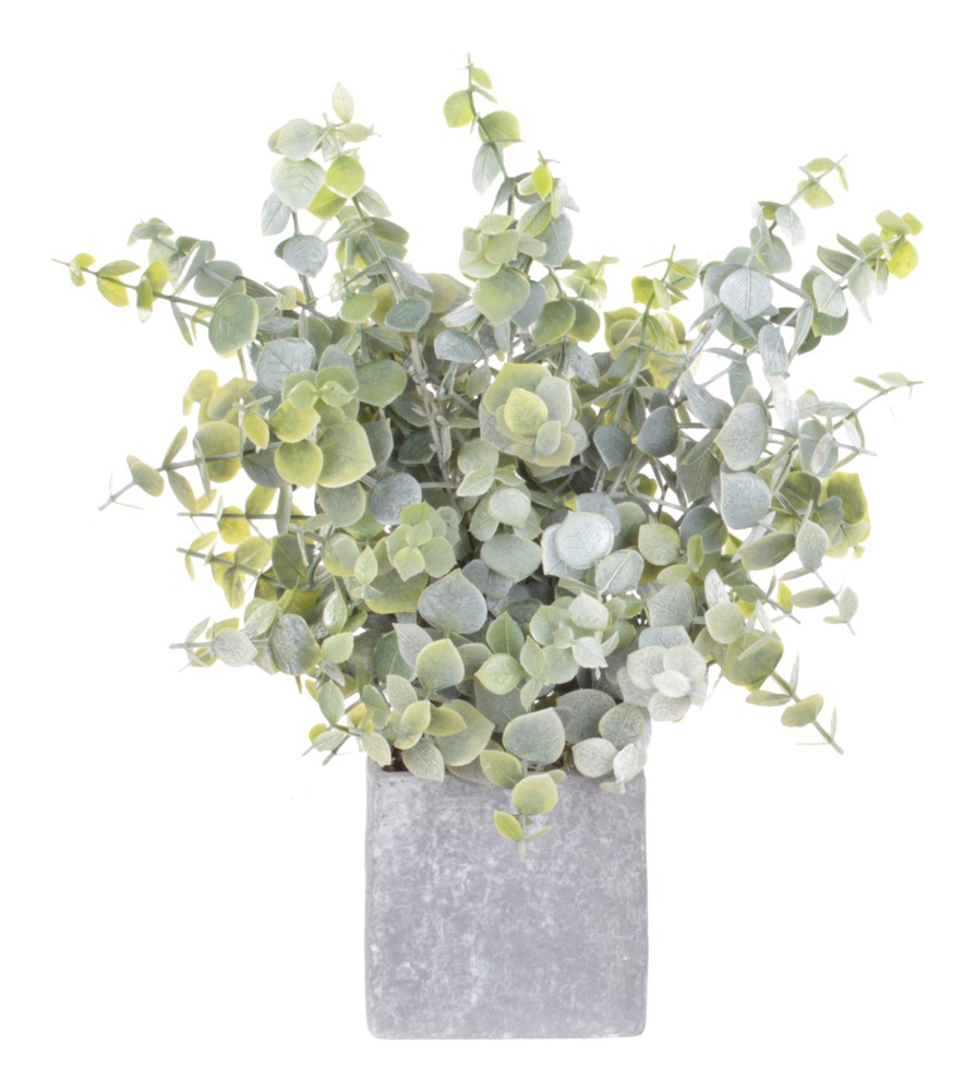 Danson Artificial Indoor Eucalyptus Plant in Cement Pot, 14in