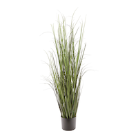 Naturae Décor Indoor/Outdoor Grass in Black Plastic Pot, 47-in Front_Elevated