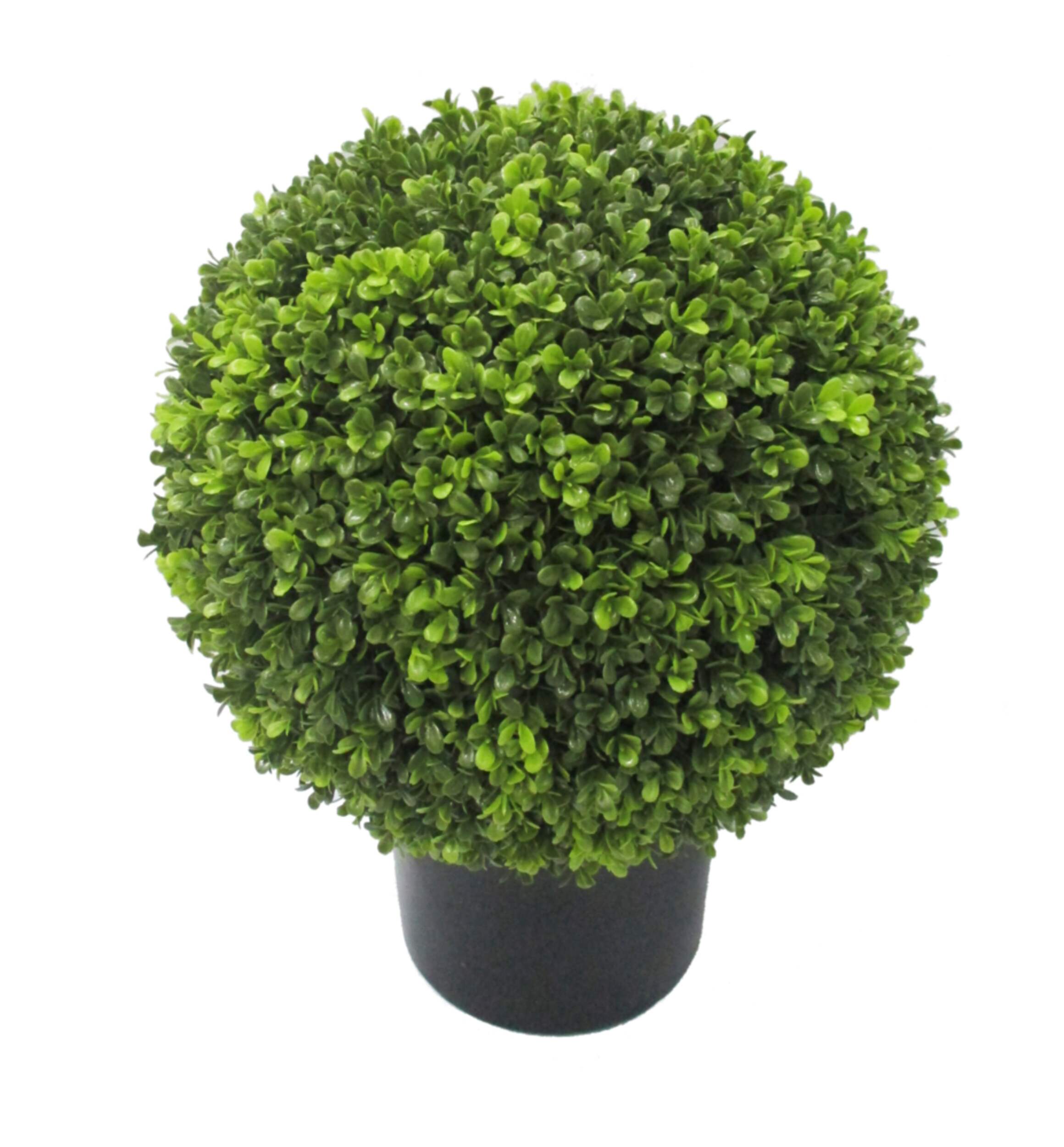 CANVAS Artificial Indoor Boxwood Ball Tree in Black Plastic Pot, 18.5-in Front_Elevated