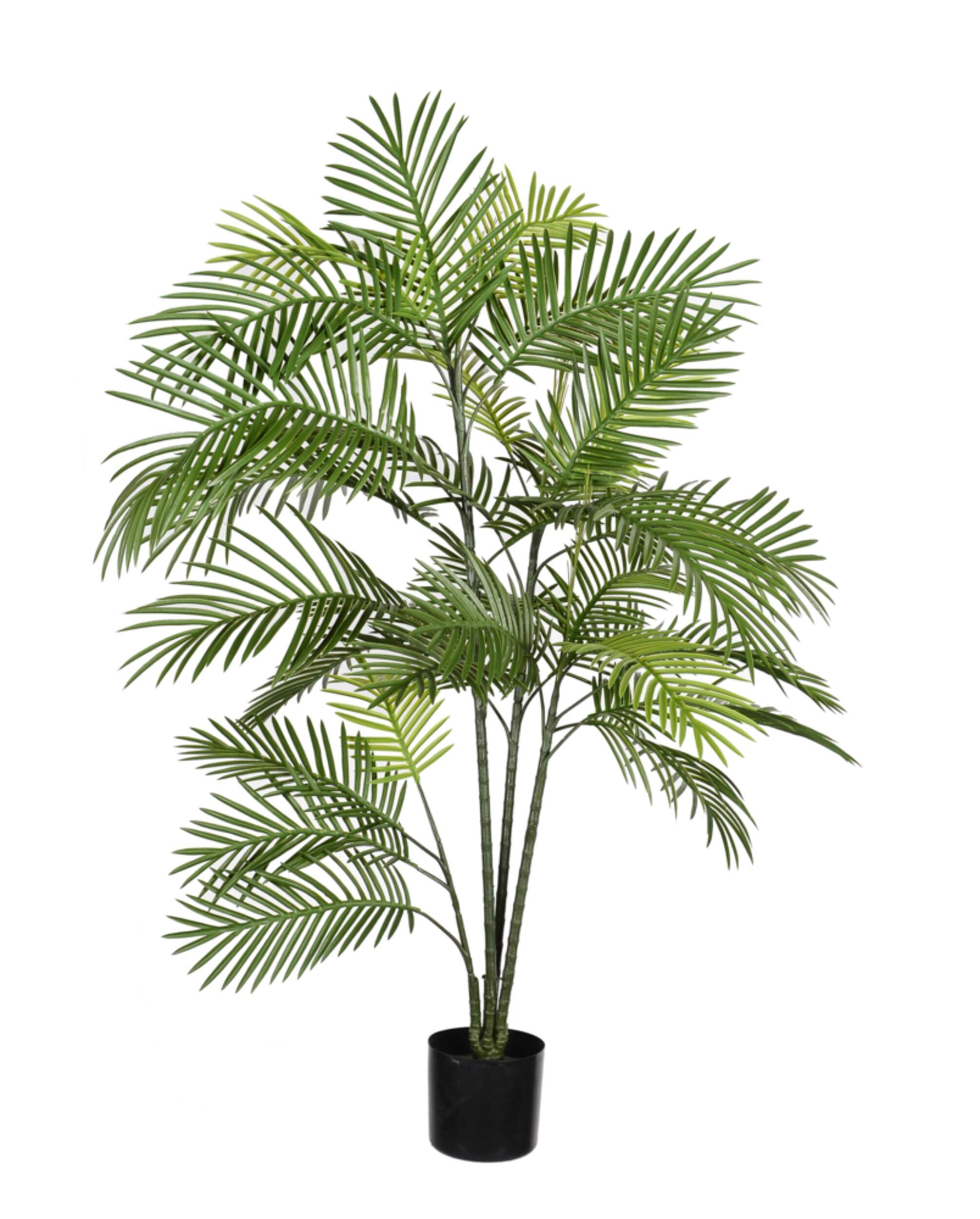 Danson Artificial Indoor Plam Tree in Pot, 5-ft Front_Elevated
