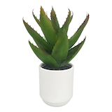 Plant d’asperge artificiel d’intérieur CANVAS, avec pot en céramique, 12,5 po Front_Elevated