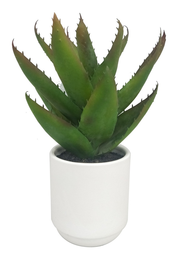 CANVAS Artificial Indoor Asparagus Plant in Ceramic Pot, 12.5in