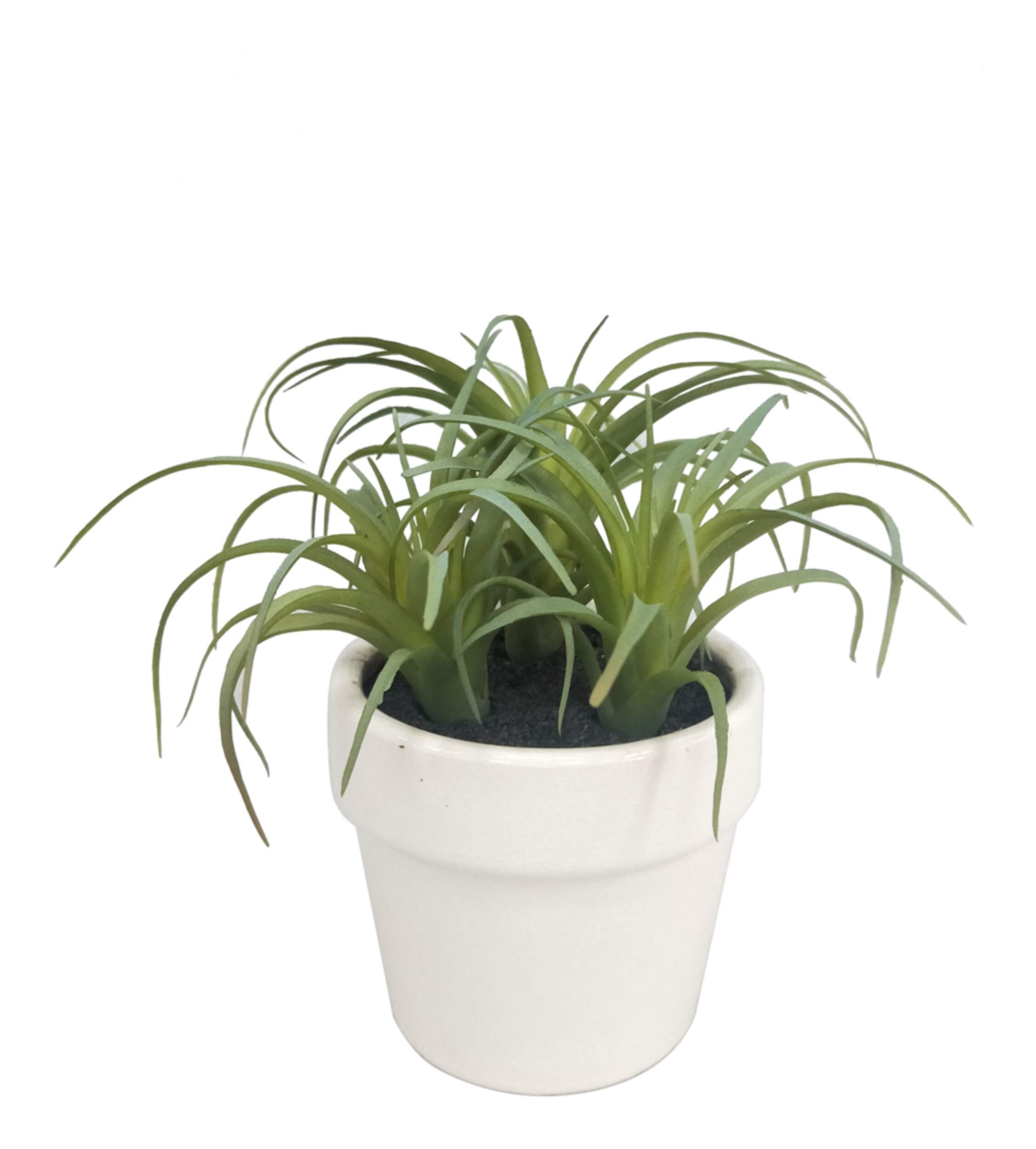 CANVAS Artificial Indoor Succulent in Ceramic Pot, 6-in Front_Elevated