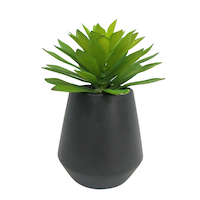 CANVAS Artificial Indoor Succulent in Ceramic Pot, 17-in Front_Elevated
