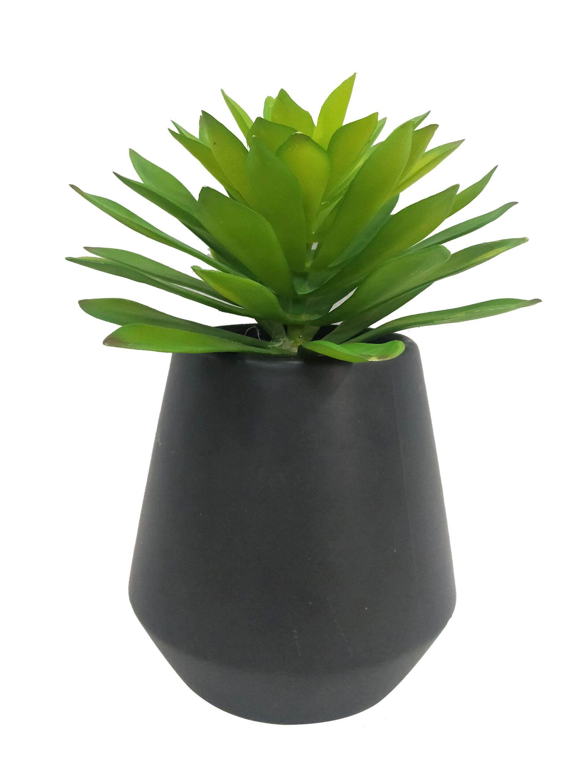 Succulente artificielle d’intérieur CANVAS, avec pot en céramique, 17 po Front_Elevated