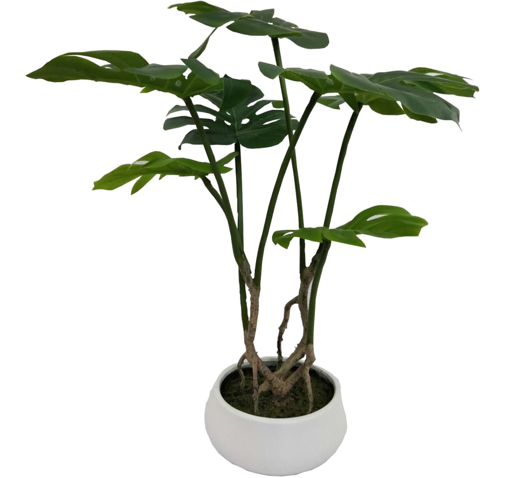 CANVAS Artificial Indoor Split Leaf Arrangement, 24in Canadian Tire