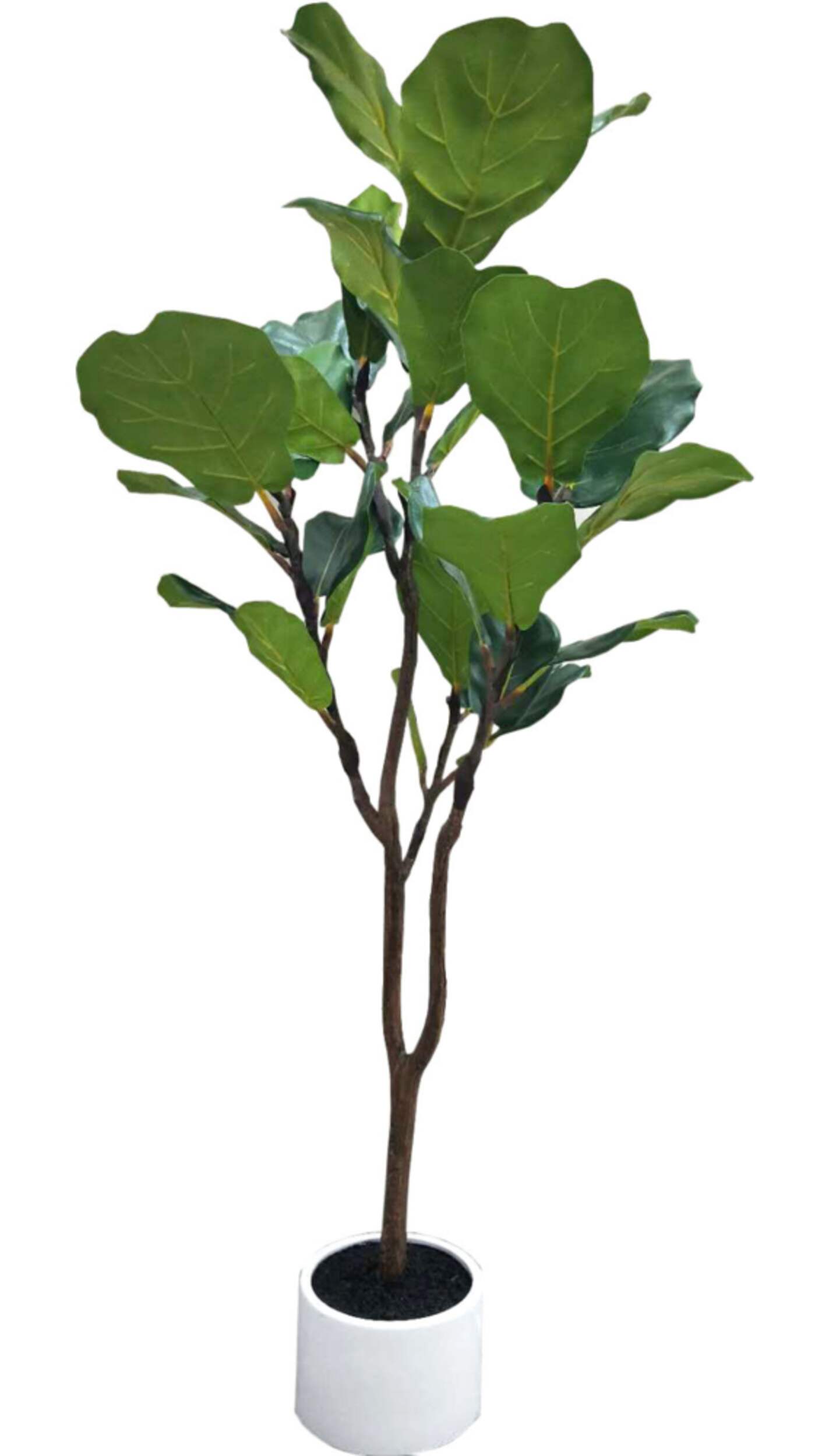 CANVAS Decorative Artificial Plant, 54-in Front_Elevated