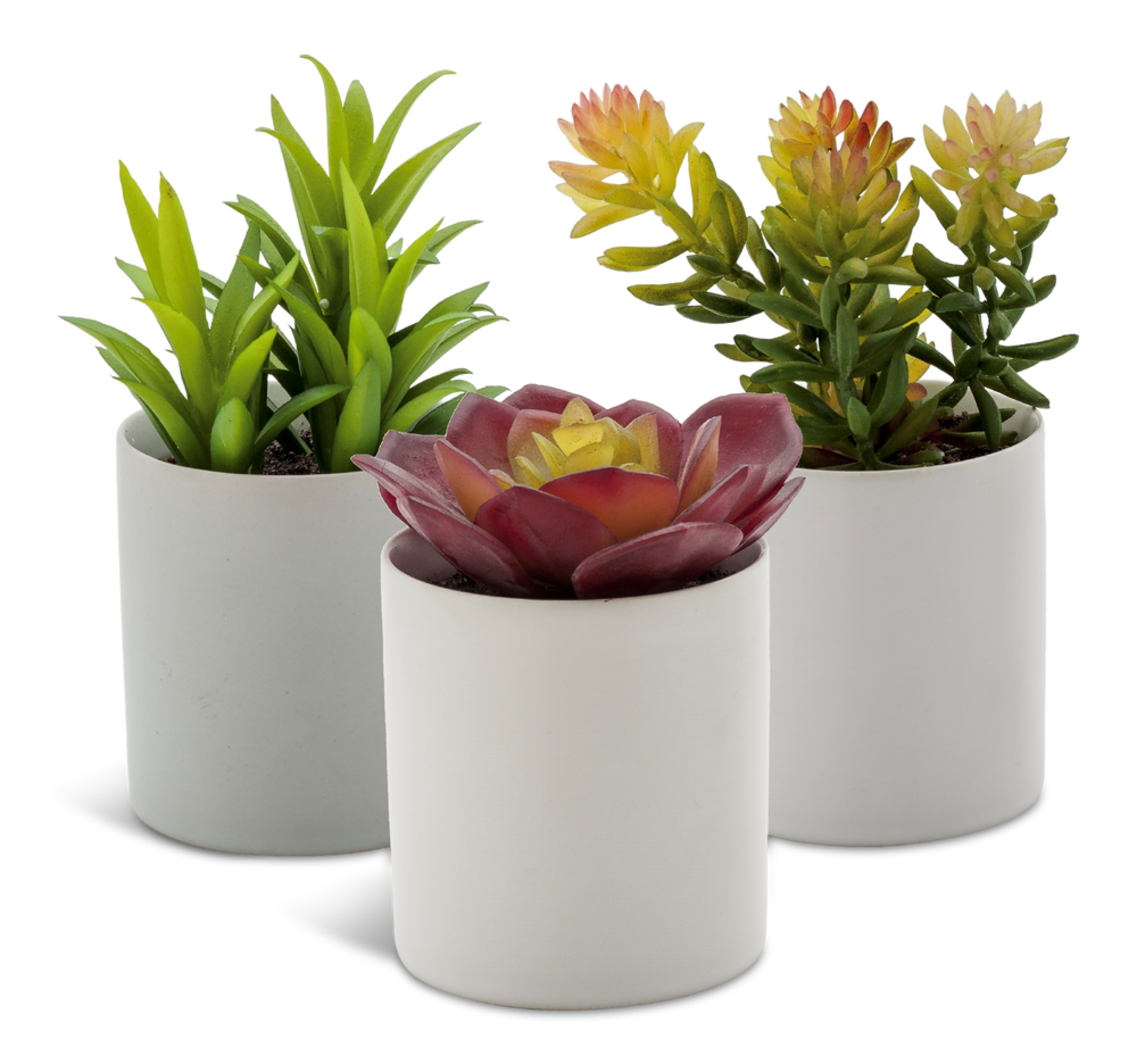 Naturae Décor Artificial Indoor Succulent in Ceramic Pot, Assorted, 4-in Front_Elevated