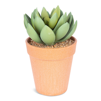 Naturae Décor Artificial Indoor Echeveria Plant in Terra Cotta Pot, 6-in