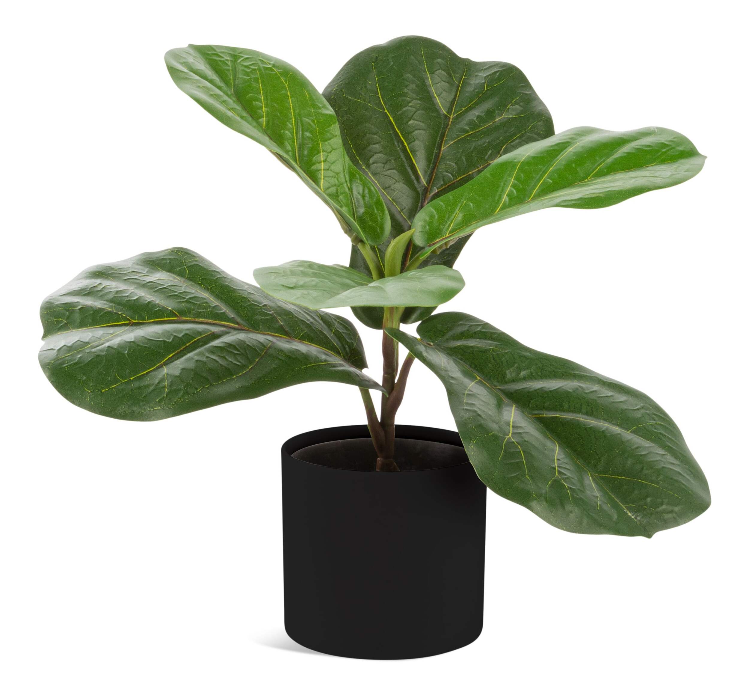 Naturae Décor Artificial Fiddle Leaf Indoor Plant in Black Pot, 12-in Front_Flat