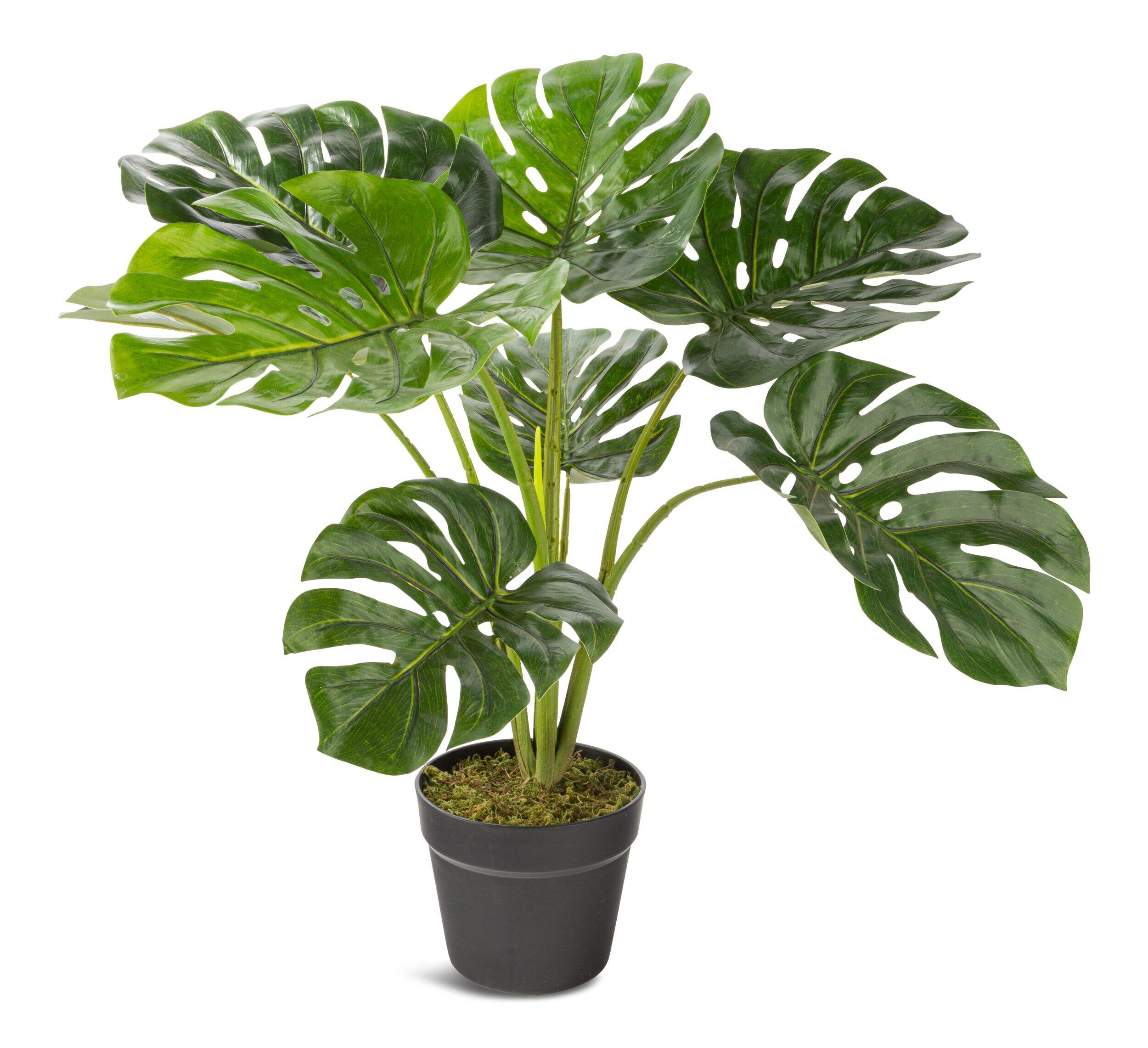 Naturae Décor Artificial Indoor Monstera Leaf Plant, 23-in Front_Elevated