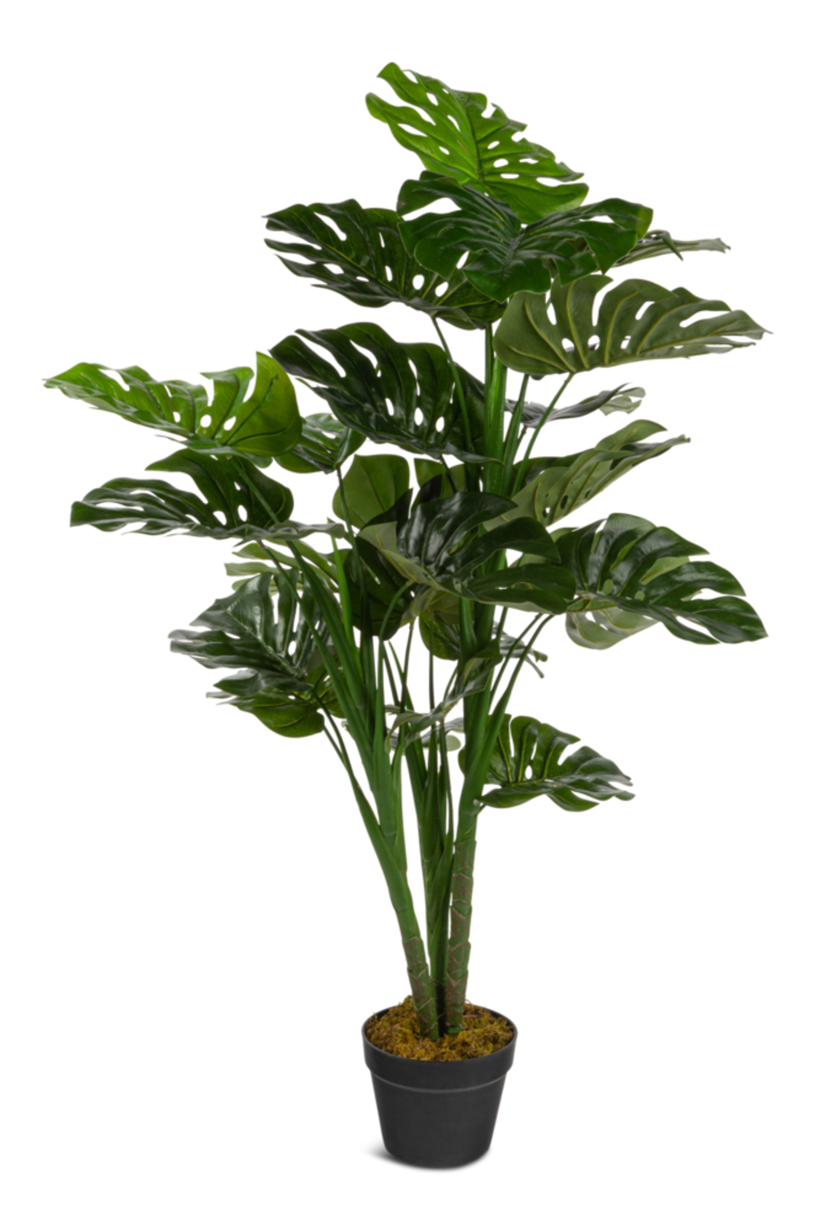 Naturae Décor Artificial Indoor/Outdoor Monstera Leaf Plant, 47-in Front_Elevated