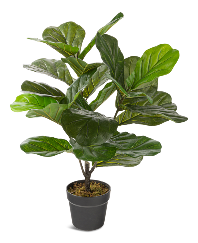 Naturae Décor Artificial Indoor/Outdoor Fiddle Leaf Plant in Black Pot