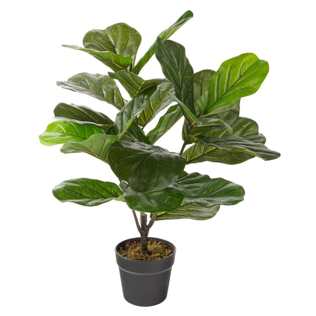 Naturae Décor Artificial Indoor/Outdoor Fiddle Leaf Plant in Black Pot,  49-in