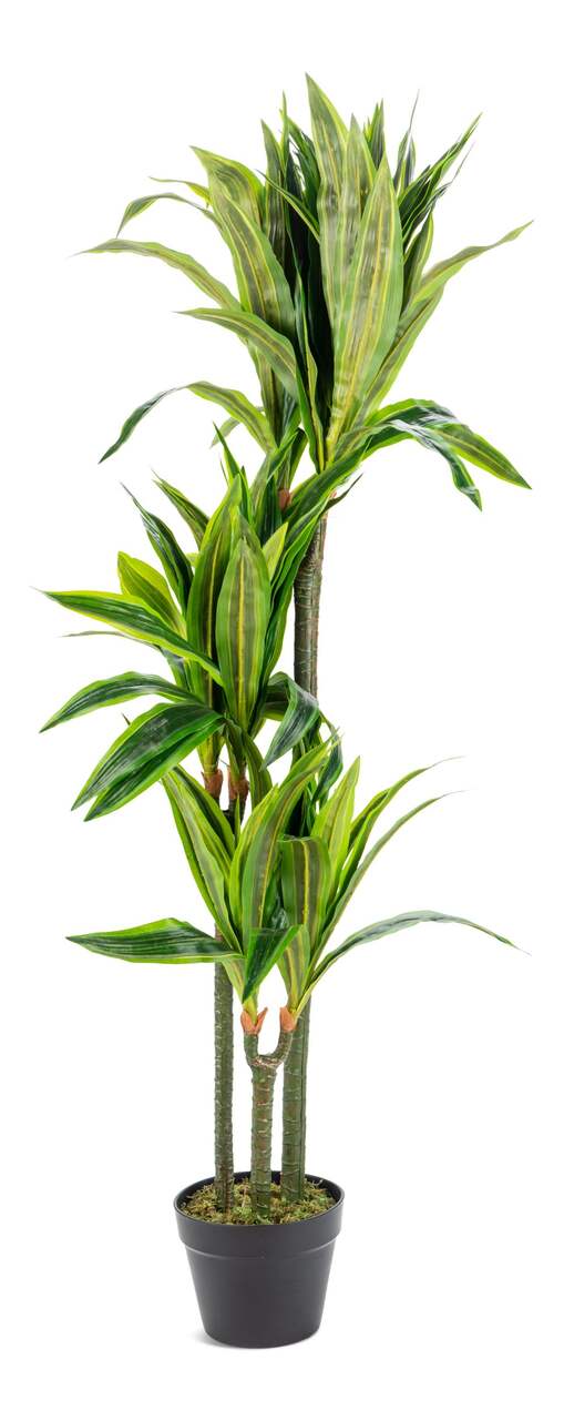 Naturae Décor Artificial Indoor/Outdoor Areca Palm Tree, 47-in