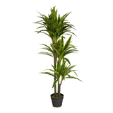 Naturae Décor Artificial Indoor/Outdoor Dracaena Plant in Black Pot, 47-in Front_Elevated
